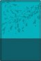 Woman After God's/Heart Bible-Teal