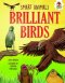 Brilliant Birds