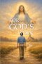 For God's Work: A Layman's Witness to the Mission of the Church