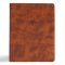 CSB Men of Character Bible, Revised and Updated, Brown LeatherTouch, Indexed