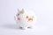 Dream Big Ceramic Piggy Bank