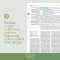 CSB Connecting Scripture New Testament, Hardcover