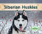 Siberian Huskies