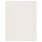 Blush Bouquet Faux Leather Hardcover Large Print King James Version Note-taking Bible