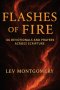 Flashes of Fire: 66 Devotionals and Prayers Across Scripture