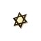 Lapel Pin Star Of David Gold Pack of 6