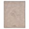 Trust Taupe Faux Leather Large Print King James Version Note-taking Bible - Proverbs 3:5