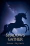 Shadows Gather
