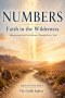 Faith in the Wilderness: Discovering God's Faithfulness Through Every Trial