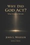 Why Did God Act?: What Scripture Reveals