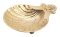 Baptismal Shell 13x11 cm