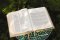 The Jesus Bible, ESV Edition, Leathersoft, Stone
