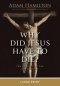 Why Did Jesus Have to Die Large Print?: The Meaning of the Crucifixion (Why Did Jesus Have to Die? -)