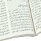 Arabic - New Testament