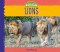 Lions