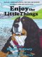Enjoy the Little Things: A Bernese Mountain Dog's Montana Adventure