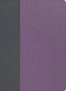 CSB Study Bible, Large Print, Gray/Lavender