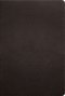 ESV Men's Study Bible (Buffalo Leather, Deep Brown)