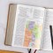 NASB Study Bible, Camel Suedesoft Leathertouch