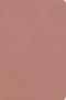 CSB Study Bible, Personal Size Edition, Rose Gold