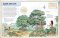 Dorling Kindersley: Bible Characters Visual Encyclopedia