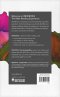NLT The Reading Bible Immerse: Kingdoms, Paperback