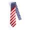 Tie Polyester American Flag