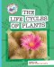 Science Lab: The Life Cycles Of Plants