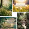 Card-Boxed-Birthday-Tony Evans (Box Of 12)