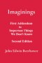 Imaginings: First Addendum to Important Things We Don't Know