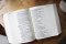 NIV, Artisan Collection Bible, Large Print, Leathersoft, Sage Floral, Red Letter, Comfort Print