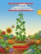 The Beanstalk Walk: Learning About God's Word
