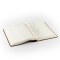 ESV Large Print Journaling Bible: Verona Theme