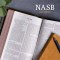 NASB Super Giant Print Reference Bible, Value Edition, Pink