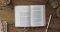 ESV New Testament with Psalms and Proverbs (TruTone, Blush Rose, Fleur-de-lis Design)