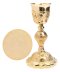 Gold Plated Chalice H 26cm with Paten & Case