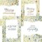 Boxed Card-Painted Petals Assorted All Occasion (KJV) (Box Of 12)