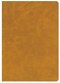 CSB Lumen Dei Bible, Lux Vitae: Single-Column Verse-By-Verse
