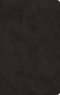 ESV Large Print Value Thinline Bible (TruTone, Black)