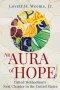An Aura of Hope: United Methodism's Next Chapter in the United States (An Aura of Hope)