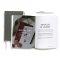 Behold the Savior Advent Bible Study Book