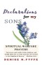 Declarations for My Sons