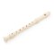 Learn To Play Jungle Animals Recorder