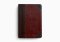 ESV Reader's Bible (TruTone, Brown/Cordovan, Portfolio Design)