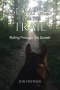 Glimpses from the Trail: Riding Through the Sunset