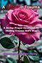 A Rose in Trauma