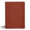 CSB Study Bible, Personal Size, Digital Study Edition, Burnt Sienna LeatherTouch