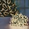200 Multi-Action LED Supabrights with Timer in Warm White (Green Cable)