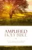 Amplified Thinline Holy Bible: Paperback