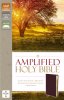 Amplified Thinline, Bible Burgundy, Bonded Leather, Translation Introduction, Presentation Page, Ribbon Marker, Gilt Edges